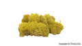 VOLLMER 48412 Moos gelb, 40 g