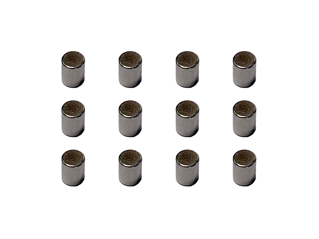 VIESSMANN 8431 Dauermagnete, 12 Stück