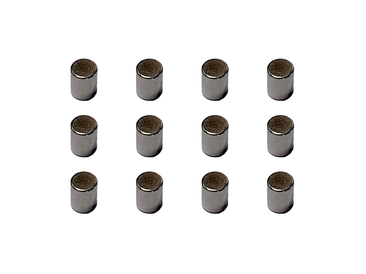 VIESSMANN 8431 Dauermagnete, 12 Stück
