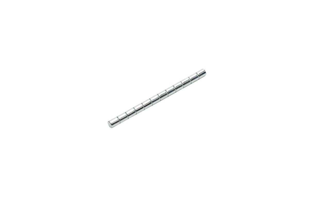 VIESSMANN 8431 Dauermagnete, 12 Stück